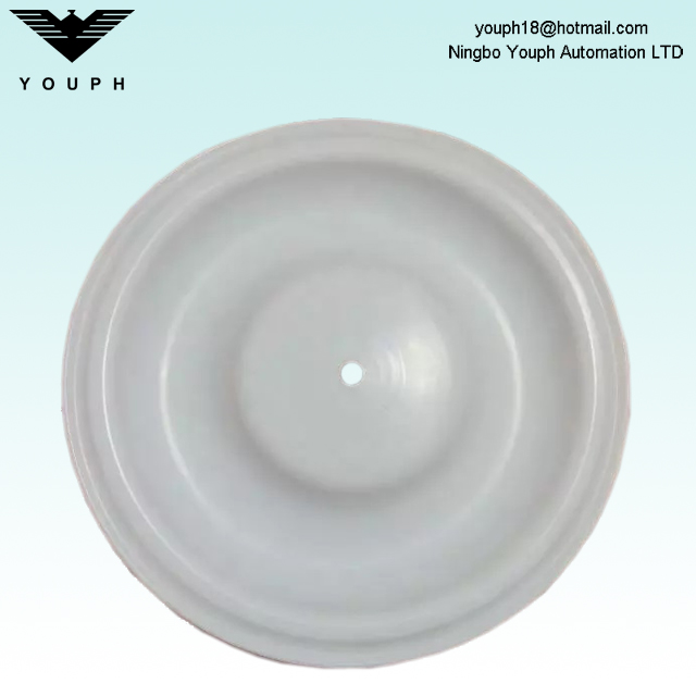 V224TF PTFE Diafragma parte de las bombas de membrana de la serie Versa-Matic de 2 pulgadas 