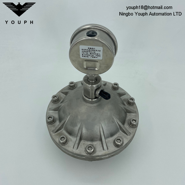 0.6L 3/4 'Hilo 304 Tanque de amortiguación de pulso de acero inoxidable