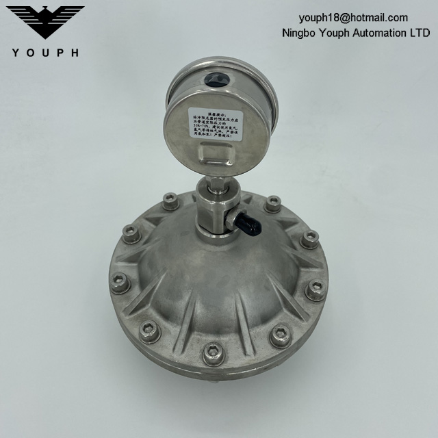 0.6L 3/4 'Hilo 304 Tanque de amortiguación de pulso de acero inoxidable