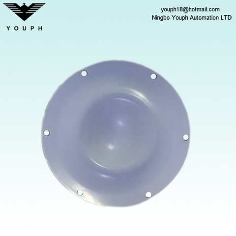 DM25 PTFE Diafragma de Dellmeco DM25/125 Bomba DM25/125 TTT-NPT