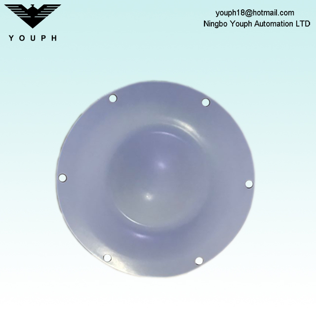 DM25 PTFE Diafragma de Dellmeco DM25/125 Bomba DM25/125 TTT-NPT