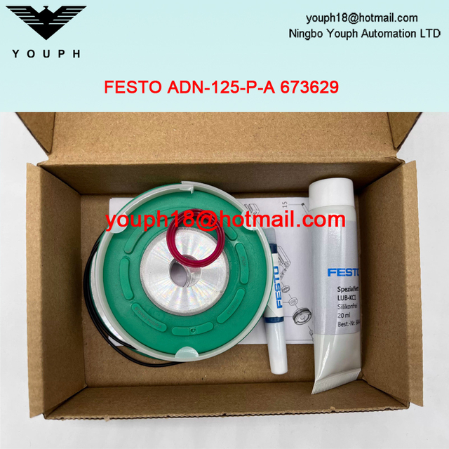 Festo ADN-125-PA 673629 ADN-125 Cilindros compactos ADN/AEN Kit de reparación