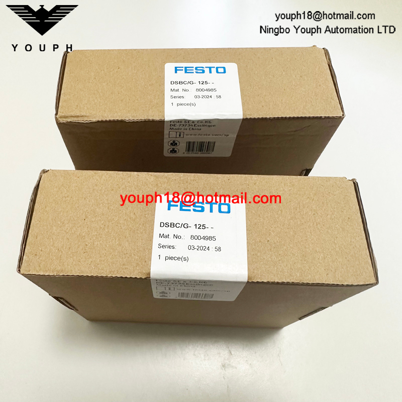 Festo DSBC/G-125-- 8004985 DSBC125 Kit de reparación de cilindros standad