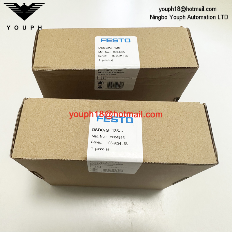 Festo DSBC/G-125-- 8004985 DSBC125 Kit de reparación de cilindros standad