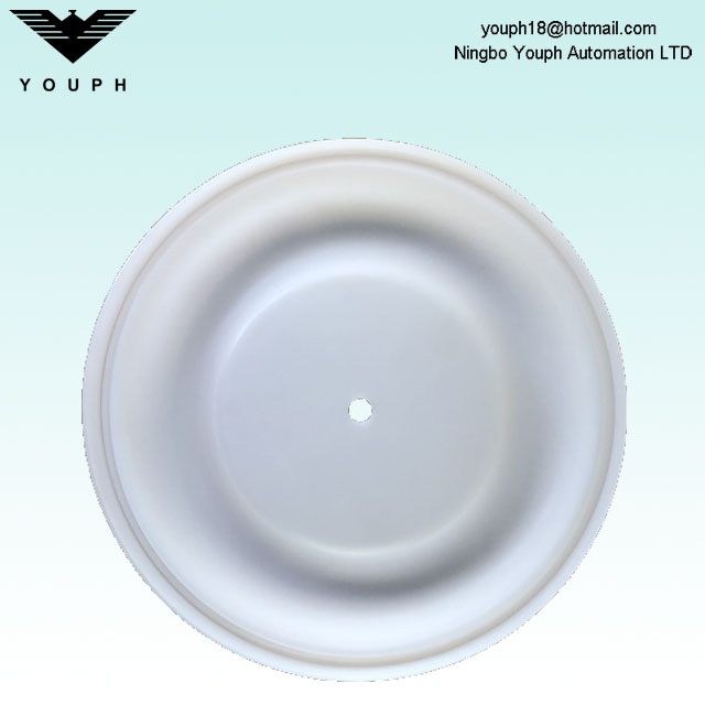 15K313 Husky 2150 2 'Diafragma de la bomba Ptfe Diafragma