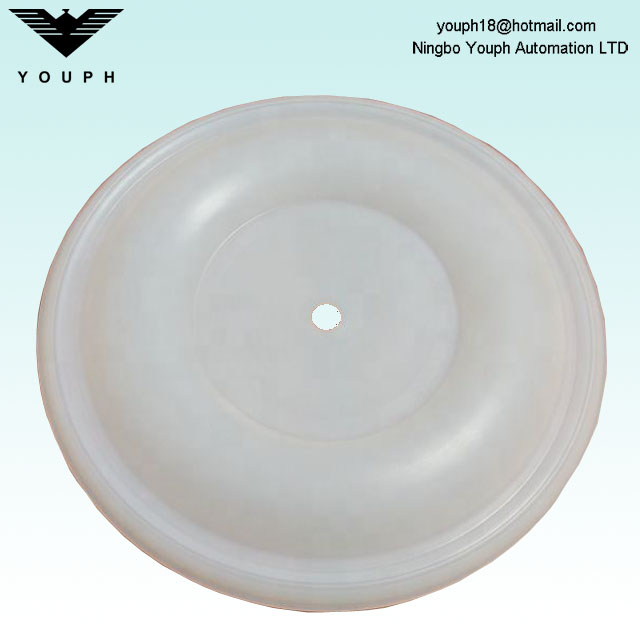 15K312 PTFE Diafragma Fit para la bomba Aodd de 1,5 pulgadas Husky1590 Diafragma Bomba Tf Diafragma