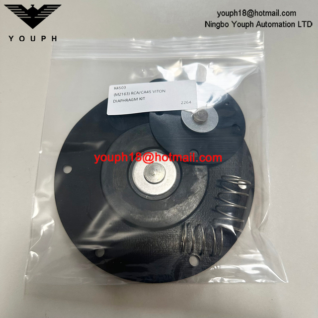 Goyen K4503 M2163 RCA45T RCA45DD CA45T011-300 -305 Válvula de pulso Viton Diafragm Kit