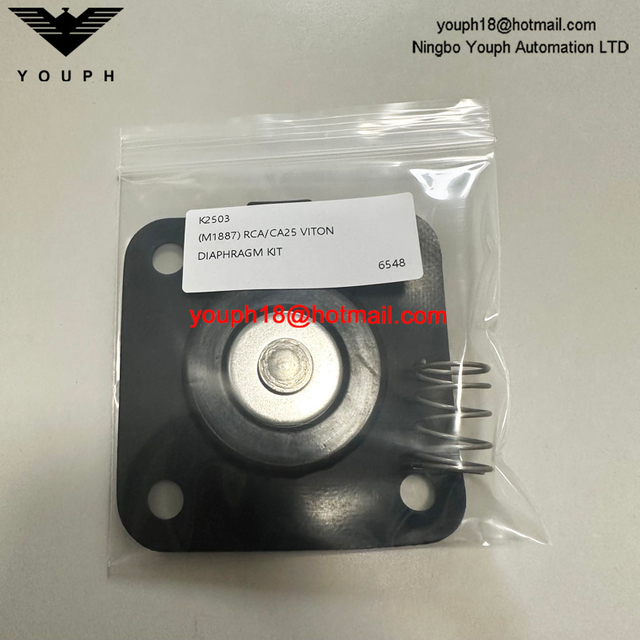 Goyen K2503 M11887 1 'Válvula de pulso Kit de reparación de diafragma de vitón de alta temperatura