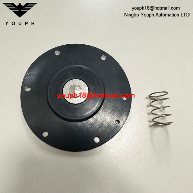 Goyen K3501 RCA35T011 Válvula de diafragma CA/RCA35T Kit de reparación de alta temperatura Viton
