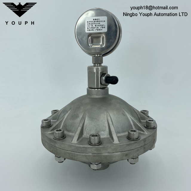 0.6L 3/4 'Hilo 304 Tanque de amortiguación de pulso de acero inoxidable