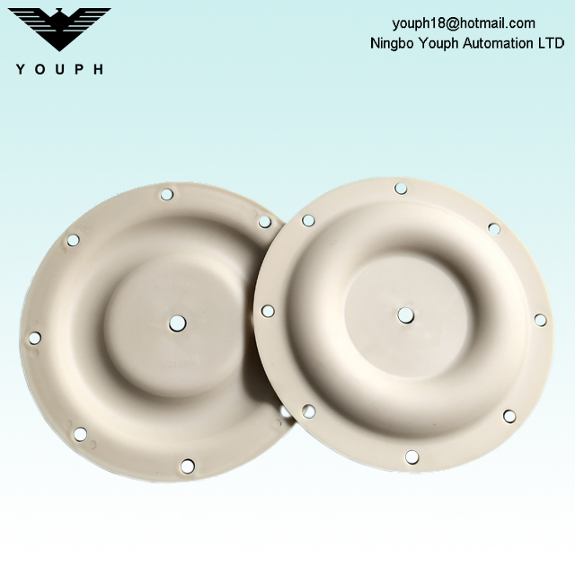 Ingersoll Rand 93459-4 Diámetro de diafragma PTFE 196 mm para 1 'ARO Diafragm Bombs 