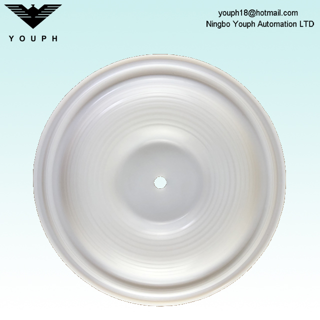 Wilden 04.1010.55 04-1010-55 diafragma PTFE para bombas de series P4 T4 P400 de 1.5 pulgadas