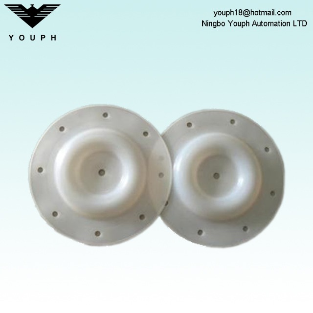 E505TF Versa-Matic 1/2 pulgada PTFE Diafragma 