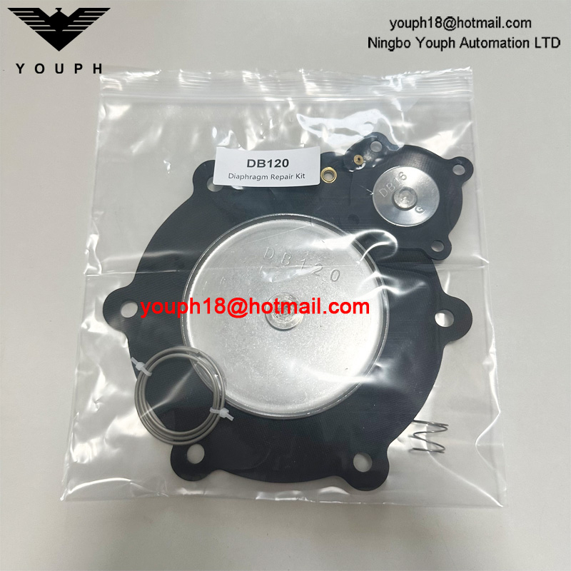 DB120 DB16 Válvula solenoide de pulso VEM220 VNP220 VEM420 VNP420 Kit de reparación de diafragma de 2.5 pulgadas
