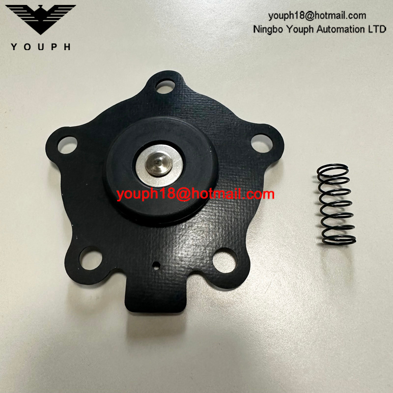 Goyen K2007 M2082B CA20T RCA20T2 RCA20DD Válvula de chorro de pulso Diafragma Viton