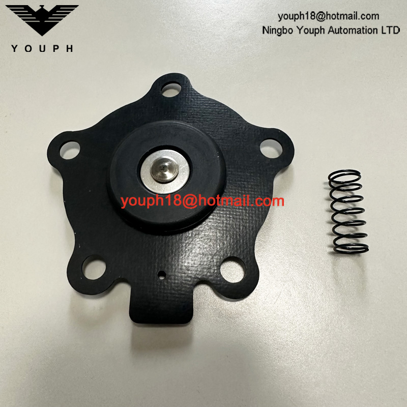 Goyen K2007 M2082B CA20T RCA20T2 RCA20DD Válvula de chorro de pulso Diafragma Viton