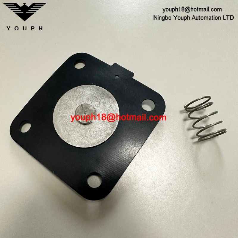 Goyen K2501 M1183B RCA25DD CAC25FS RCAC25FS Válvula de pulso DN25 Kit de diafragma