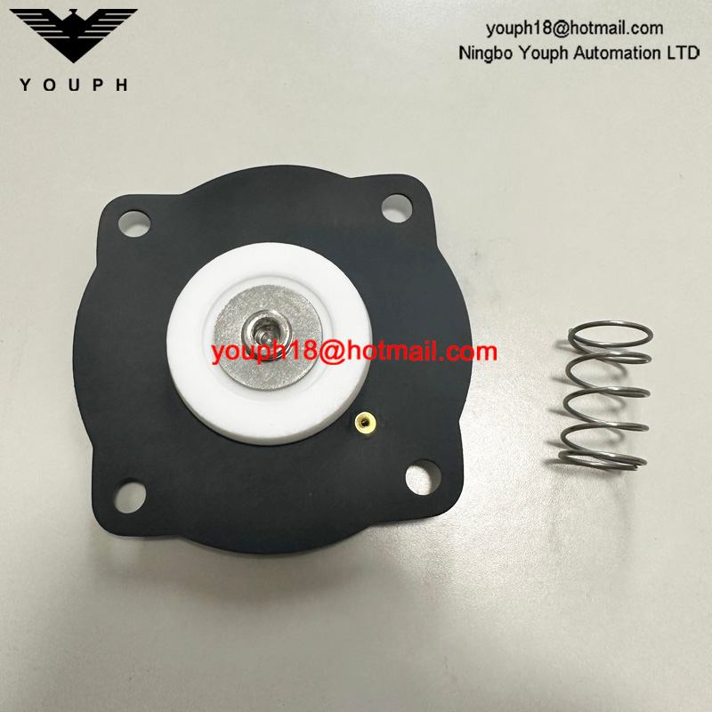 Goyen K2551 RCAC25T4 RCAC25T4012 RCAC25DD4 Kit de reparación de diafragm