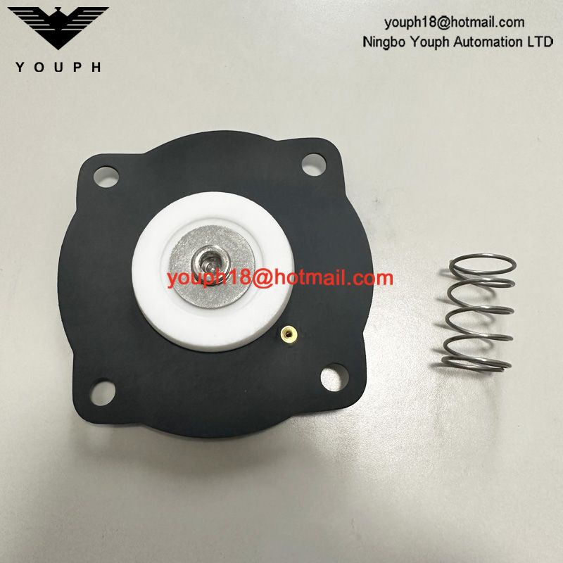 Goyen K2551 RCAC25T4 RCAC25T4012 RCAC25DD4 Kit de reparación de diafragm