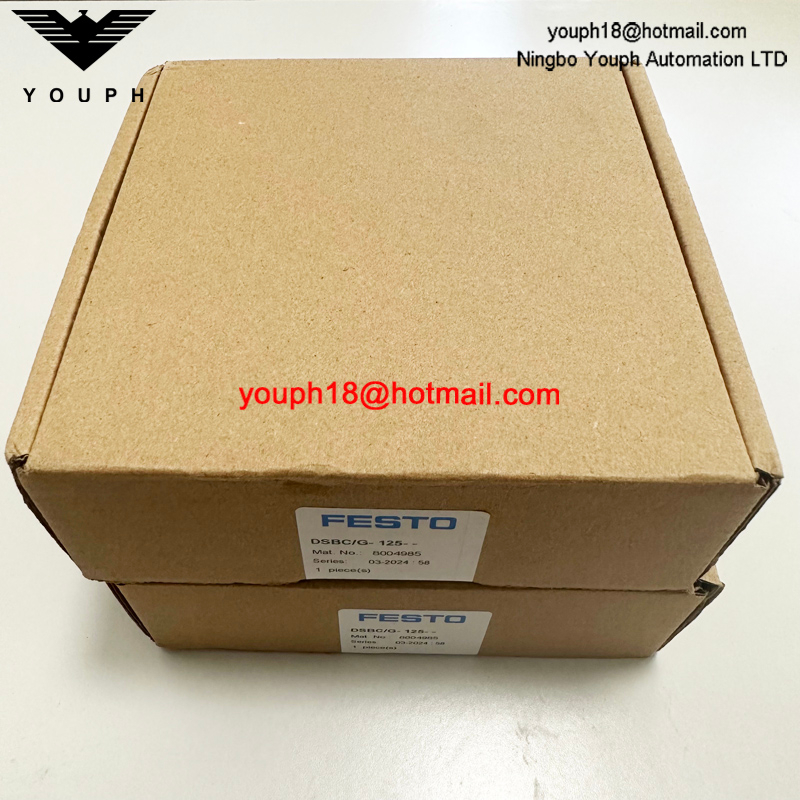 Festo DSBC/G-125-- 8004985 DSBC125 Kit de reparación de cilindros standad