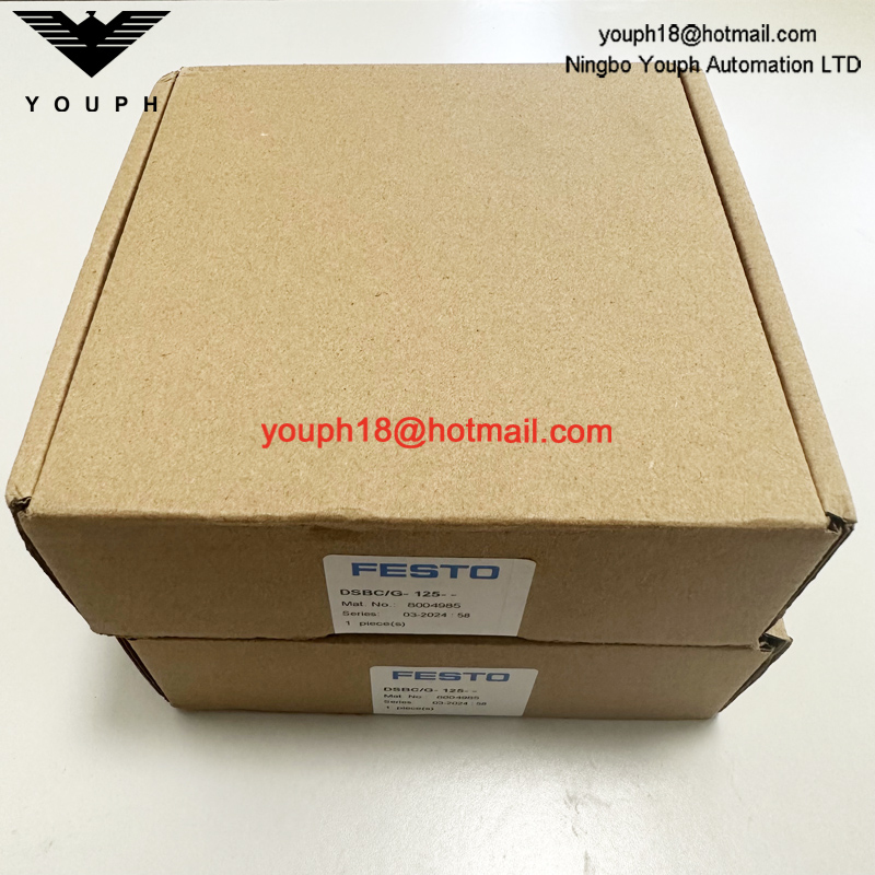 Festo DSBC/G-125-- 8004985 DSBC125 Kit de reparación de cilindros standad