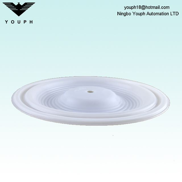 Wilden 02-1010-55 Membrana PTFE para bombas de diafragma neumático de 1 pulgada P2 P200 de 1 pulgada