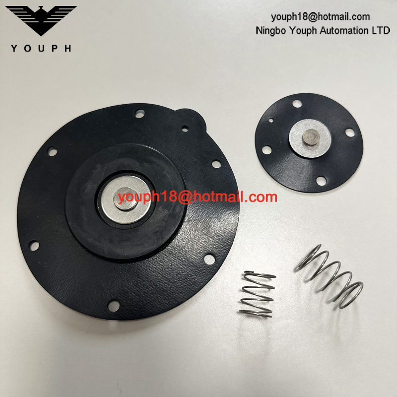 Goyen K4503 M2163 RCA45T RCA45DD CA45T011-300 -305 Válvula de pulso Viton Diafragm Kit