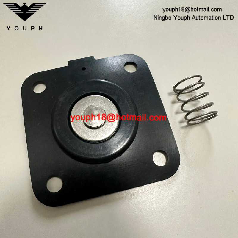 Goyen K2501 M1183B RCA25DD CAC25FS RCAC25FS Válvula de pulso DN25 Kit de diafragma