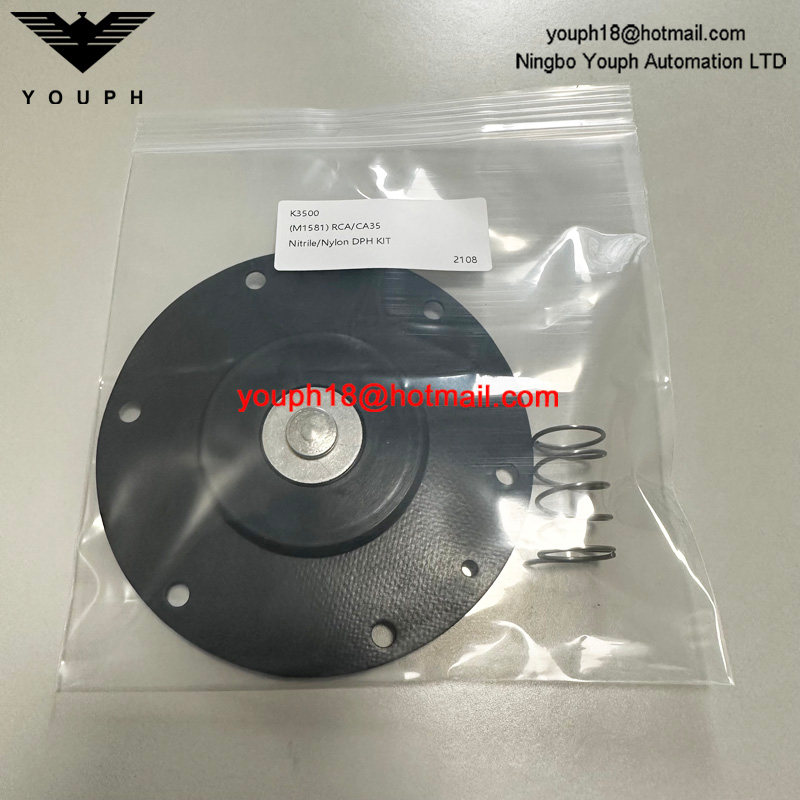 Goyen K3500 M1581 Válvula de diafragma CA/RCA35T Kit de reparación de nitrilo