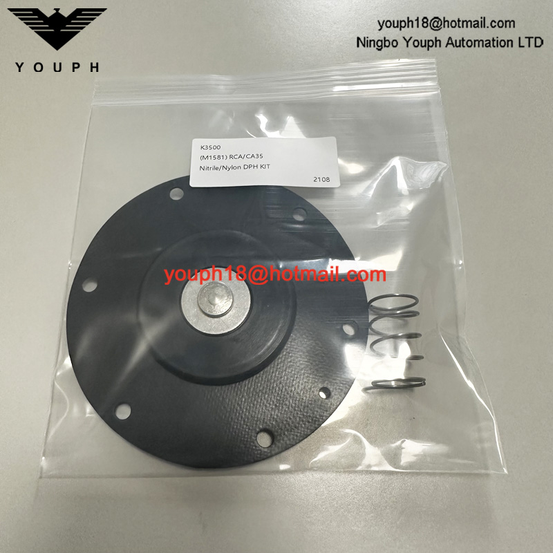 Goyen K3500 M1581 Válvula de diafragma CA/RCA35T Kit de reparación de nitrilo