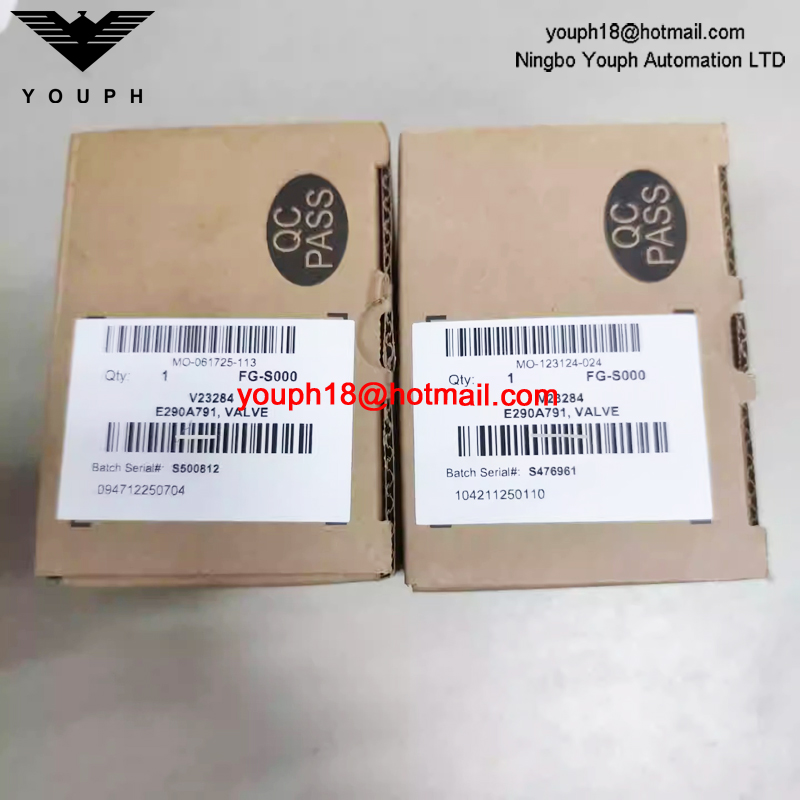 ASCO EMERSON E290A791 VÁLVULA de asiento en ángulo de acero inoxidable de tamaño 10 mm G3/8'