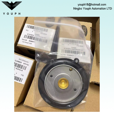 97701879 Kit de diafragma de la válvula solenoide ASCO SCG238F017 SCG238F018