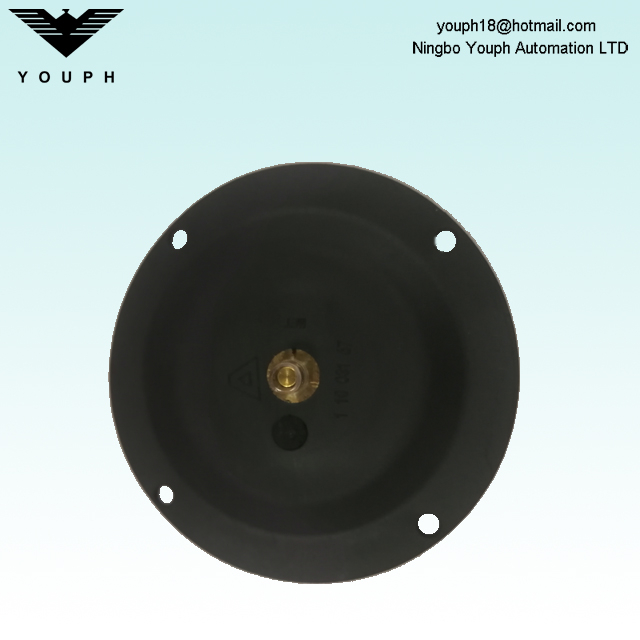 11003167 Almatec E10 PTFE y EPDM Diafragma compuesto de doble capa 