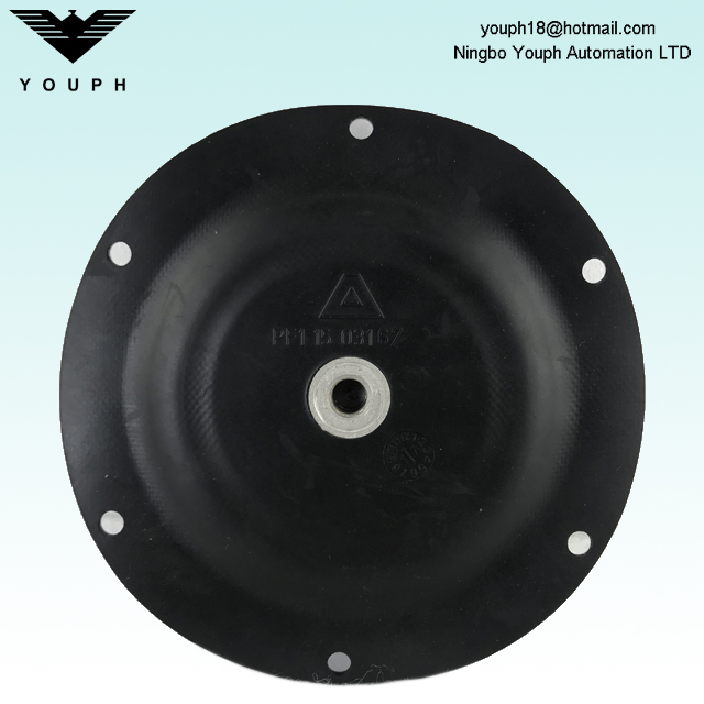 11503167 PTFE/EPDM Parte de diafragma compuesto para bombas de la serie Almatec E15 E15TTT
