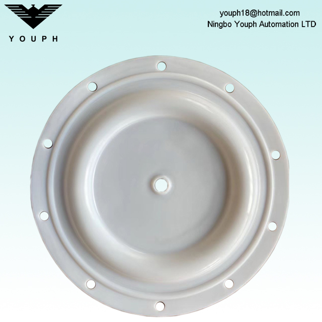 BSK-50 PTFE Diafragma 6296 Diámetro exterior 330 mm BSK 2 pulgadas Bombas BA50Al BA50PP