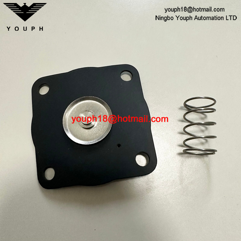 Goyen K2033 RCAC20 RCAC20FS4 RCAC20ST4 Válvula de pulso Kit de diafragma Viton