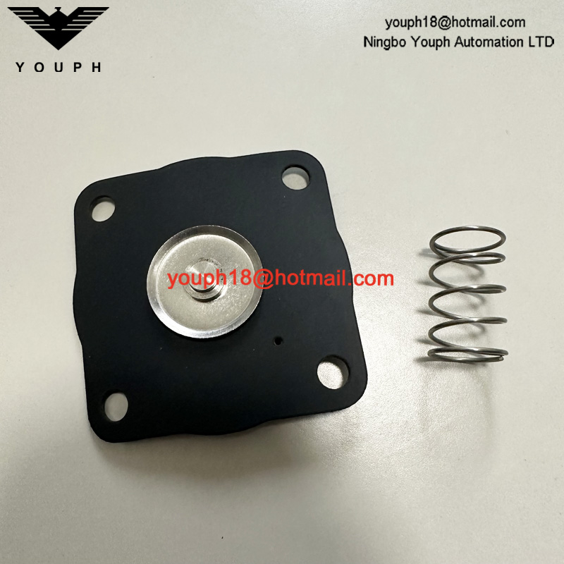 Goyen K2033 RCAC20 RCAC20FS4 RCAC20ST4 Válvula de pulso Kit de diafragma Viton