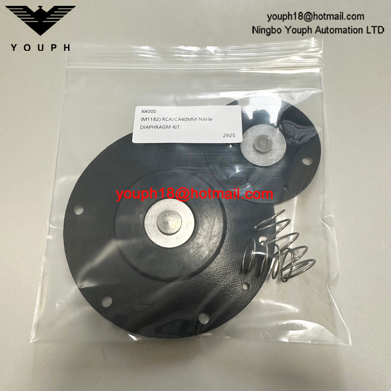 Goyen K4000 M1182 Válvula de diafragma CA/RCA40T Kit de reparación de membrana