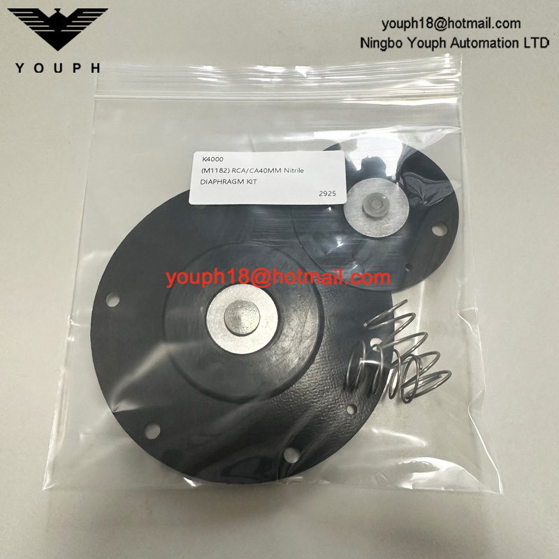 Goyen K4000 M1182 Válvula de diafragma CA/RCA40T Kit de reparación de membrana