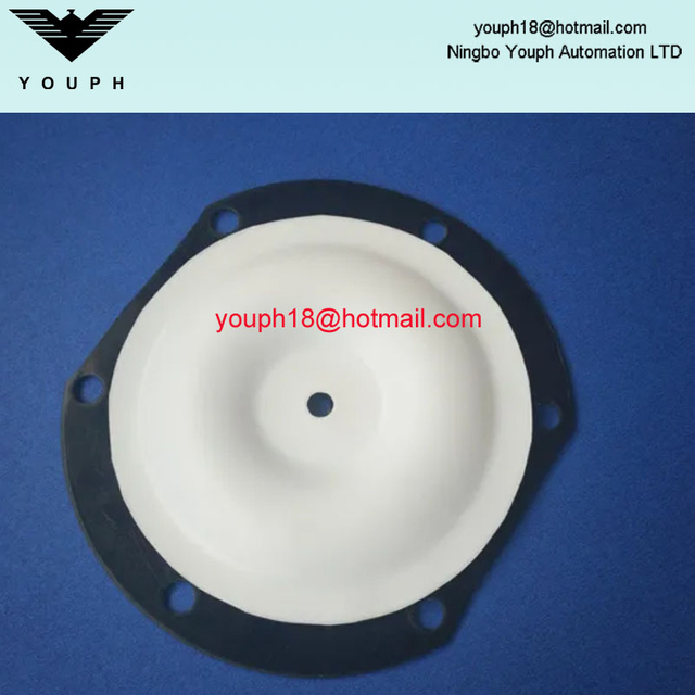 Changjiang QSM-CJ602 Diafragma resistente a la corrosión de diafragma bidireccional