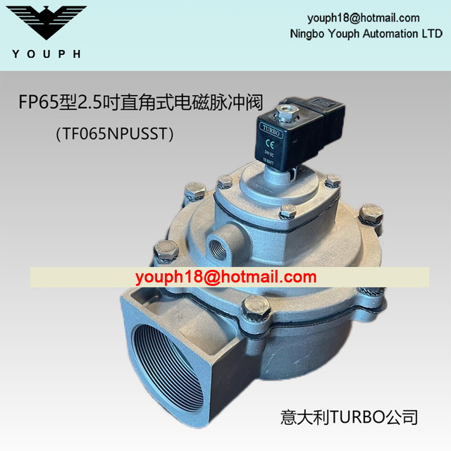 Italia Turbo FP65 TF065NPUSST 2,5 'VÁLVULA de chorro de pulso roscada de diafragma